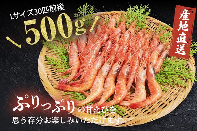 【お刺身用甘エビ（船内冷凍）Lサイズ30匹前後 500g以上（冷凍）】入金確認後、順次発送  産地直送 鮮度抜群 甘えび 船内冷凍 大人気 ふるさと納税 兵庫県 香美町 香住 山米鮮魚 74-16