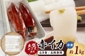 【大型サイズ使用 超肉厚な赤イカむき身（お刺身用）約1kg入（冷凍）】ご入金確認後、順次発送予定 下処理済み 産地直送 鮮度抜群 お刺身用 大人気 ふるさと納税 香美町 香住 山米鮮魚 74-19