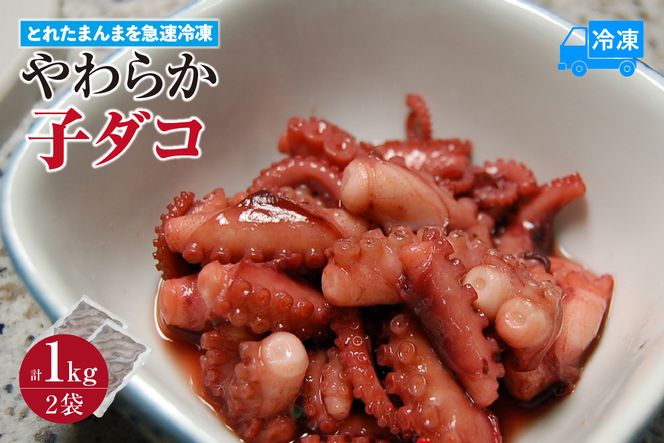 yɌzyƂꂽ܂܂}Ⓚ 炩q_R 500g×2 1kg ⓀzmFA\ Y   ^pbN Yn NxQ ^R  CN ӂ邳Ɣ[  ԗi