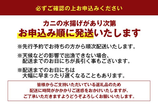 【柴山産 活セコガニ 6匹 1匹約120g】11月中旬以降配送予定 ふるさと納税 兵庫県 香美町 香住 柴山 カニ 松葉ガニ せいこがに メスガニ 親ガニ ヤマヨシ 27000円 37-01