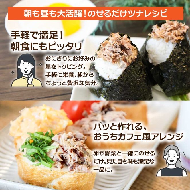 カツオのオイル漬け 12P 1パック100g かつお 鰹 パウチ 常温保存 油漬 パスタ サラダ おにぎり 防災 非常食 長持ち 備蓄 キャンプ アウトドア ふるさと納税 加工品 高知 田野町