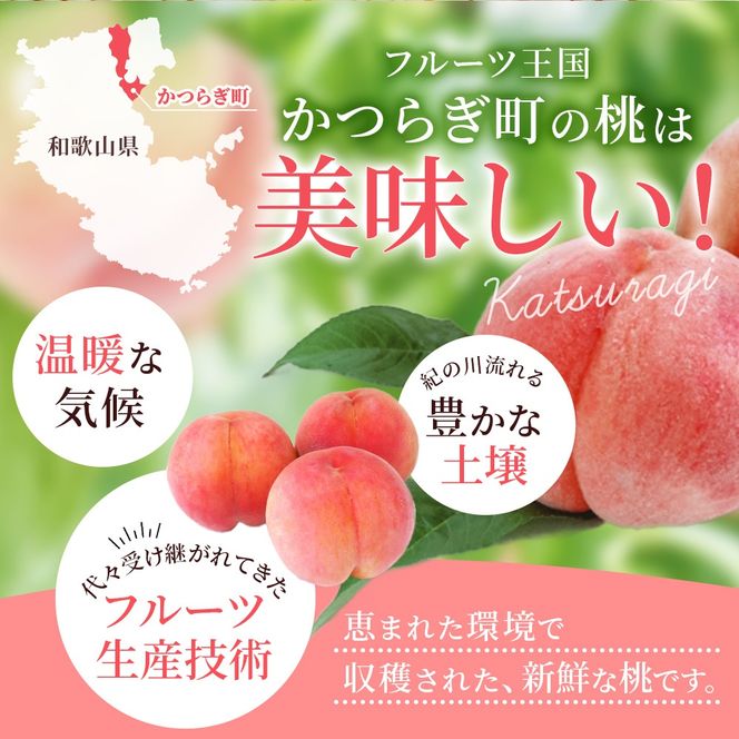 【先行予約】【厳選】あふれる果汁で口いっぱい！ 和歌山県産 桃 約2kg（6個~9個） 2025年6月末頃～2025年8月末頃に順次発送（お届け日指定不可）【kgr001】