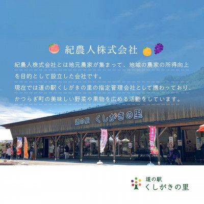 【先行予約】【厳選】あふれる果汁で口いっぱい！ 和歌山県産 桃 約2kg（6個~9個） 2025年6月末頃～2025年8月末頃に順次発送（お届け日指定不可）【kgr001】