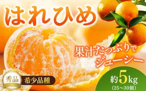 【先行予約】希少種みかん はれひめ 秀品 約5kg (25個～30個) ※2025年12月中旬～2026年2月初旬頃に順次発送予定（お届け日指定不可）/ 和歌山 みかん ミカン はれひめ フルーツ 