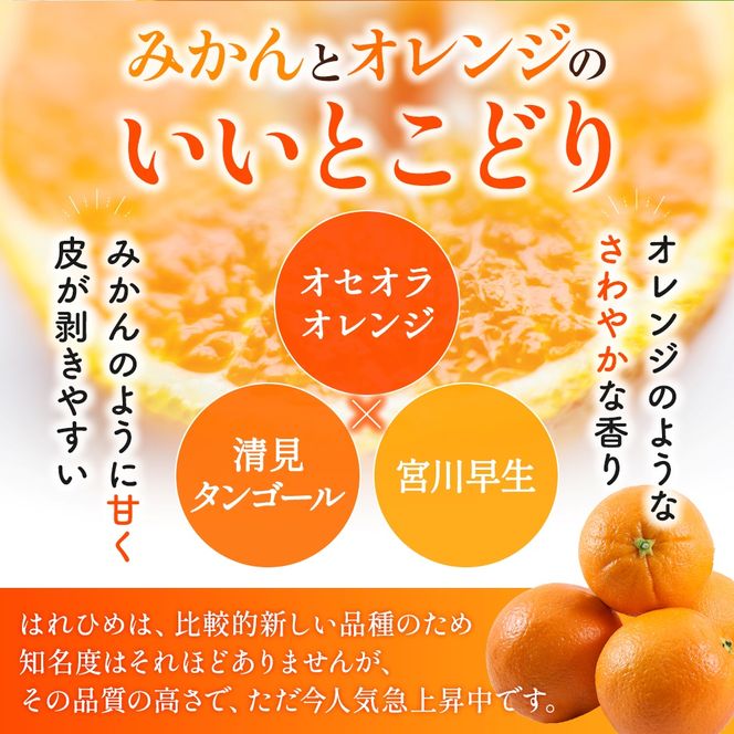 【先行予約】希少種みかん はれひめ 秀品 約5kg (25個～30個) ※2025年12月中旬～2026年2月初旬頃に順次発送予定（お届け日指定不可）/ 和歌山 みかん ミカン はれひめ フルーツ 