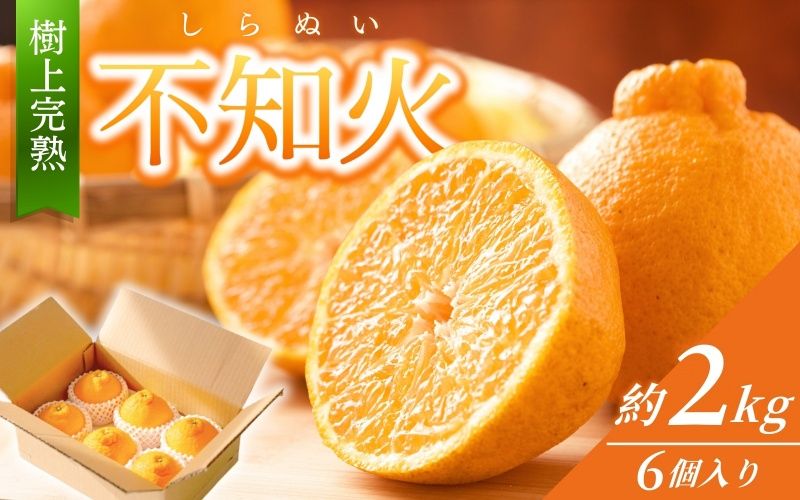 [先行予約][数量わずか]樹上完熟しらぬい(不知火) 約2kg(6個) 秀品 2026年2月下旬〜2026年4月中旬頃に順次発送予定(お届け日指定不可)/ みかん 不知火 フルーツ [kgr005]