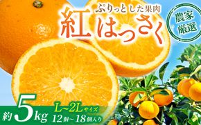 【先行予約】あふれる果汁！ 希少な紅はっさく 秀品 5kg L～２L ※2027年2月～2027年3月中旬頃に順次発送予定（お届け日指定不可） 　/ ハッサク 八朔 紅八朔 紅はっさく フルーツ 柑橘 蜜柑 果物 くだもの【kgr006A】