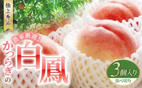 もも 【予約受付】桃の王様 白鳳 <特秀品> うれしい食べきり容量 3玉 2025年6月末頃～2025年7月末頃に順次発送予定（お届け日指定不可）/ 桃 もも 果物 くだもの 【kgr010】