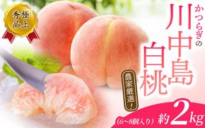 【予約受付】桃の王様【予約受付】こだわり農家厳選 川中島白桃 和歌山産の桃 <大玉特秀品> 約2kg（6個~9個） 2025年8月初旬頃～2025年8月末頃に順次発送予定（お届け日指定不可）/ 桃 も