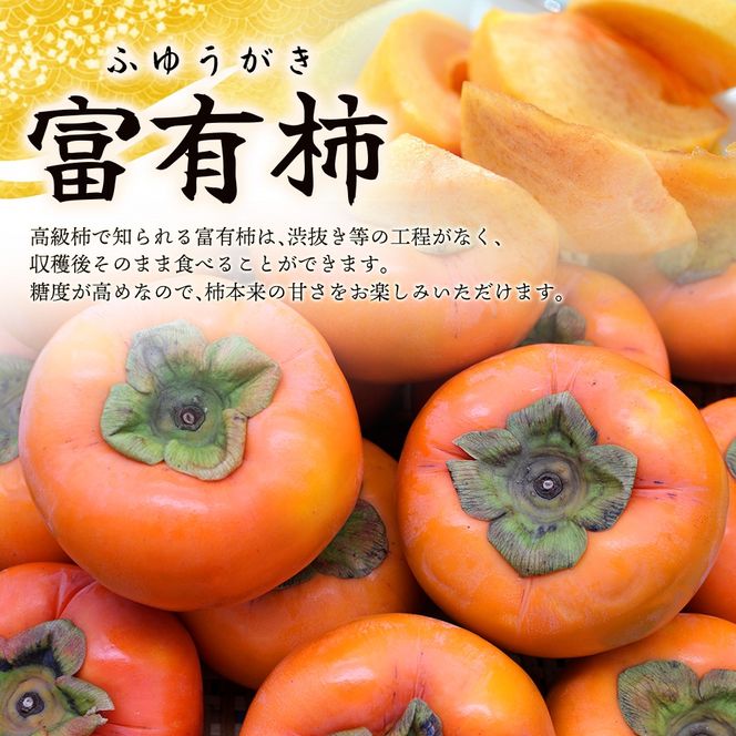 【先行予約】富有柿 2kg～2.5kg 6個入 至高の逸品 約1000個に１個！ 2026年10月末から11月末頃に順次発送予定（お届け日指定不可）/ 和歌山 柿 かき フルーツ 果物 くだもの 刀根 種無し【kgr013】