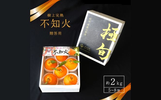 【先行予約】【数量わずか】樹上完熟しらぬい（不知火） 6個~8個 秀品 / 和歌山 みかん しらぬい 不知火 フルーツ 柑橘 蜜柑 果物 くだもの ※2027年2月下旬～2027年3月下旬頃に順次発送予定（お届け日指定不可）【kgr014】