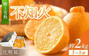【先行予約】【数量わずか】樹上完熟しらぬい（不知火） 6個~8個 秀品 2026年2月下旬～2026年4月中旬頃に順次発送予定（お届け日指定不可）/ 和歌山 みかん しらぬい 不知火 フルーツ 柑橘 