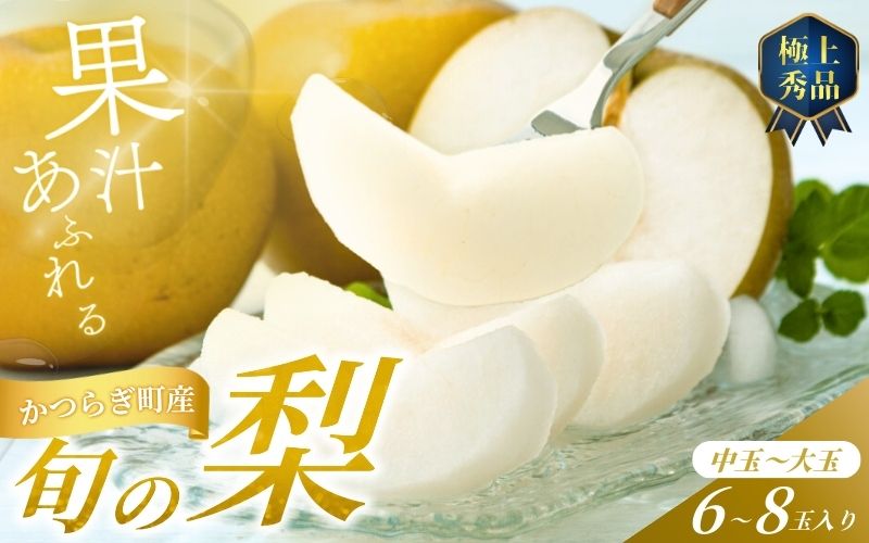 [先行予約]旬の梨(幸水ー豊水ーあきづき) 極上秀品(中玉〜大玉)6〜8個入り 2025年8月下旬〜2025年9月下旬頃に順次発送予定(お届け日指定不可)/ 和歌山 梨 フルーツ 果物[kgr015]