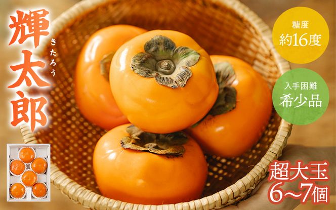 【先行予約】希少な柿【輝太郎】大玉6個～7個 コクのある甘さ！こだわり農家厳選【2026年9月末～10月末頃に順次発送予定】【kgr018】