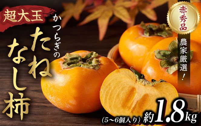 【2026年先行予約】種無し柿 早生刀根柿 約1.8kg 2026年9月下旬～10月下旬頃に順次発送予定（お届け日指定不可）/ 和歌山 柿 かき フルーツ 果物 くだもの 刀根 種無し【kgr003A】