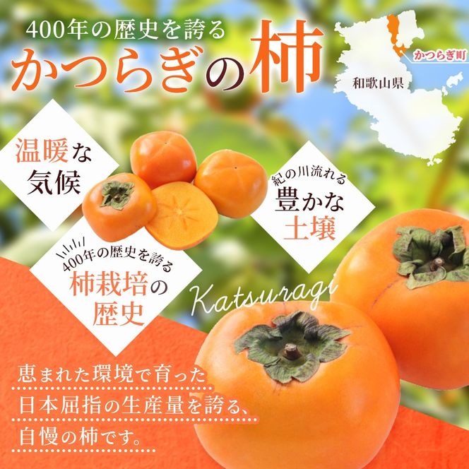 【2026年先行予約】種無し柿 早生刀根柿 約1.8kg 2026年9月下旬～10月下旬頃に順次発送予定（お届け日指定不可）/ 和歌山 柿 かき フルーツ 果物 くだもの 刀根 種無し【kgr003A】