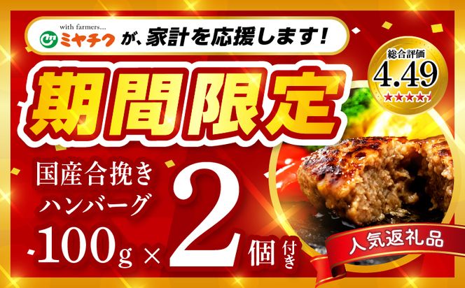 【期間・数量限定】宮崎牛ロースステーキ250g×2 合挽きハンバーグ100g×2個 合計700g_M132-014-B