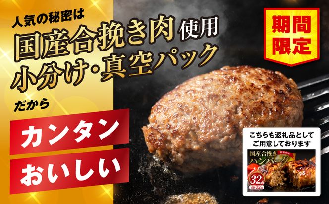 【期間・数量限定】宮崎牛ロースステーキ250g×2 合挽きハンバーグ100g×2個 合計700g_M132-014-B