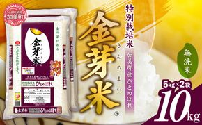 米 無洗米 金芽米 令和6年 宮城県 加美産 ひとめぼれ 特別栽培米 10kg  ( 5kg × 2袋 ) [ 宮城県 加美町 ]  お米 こめ コメ 精米 白米 玄米 きんめまい おすすめ 新米 ナ