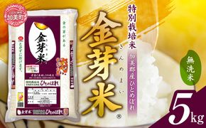 米 無洗米 金芽米 令和6年 宮城県 加美産 ひとめぼれ 特別栽培米 5kg   [ 宮城県 加美町 ]  お米 こめ コメ 精米 白米 玄米 新米 / km00010-r6-5