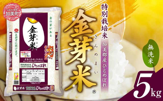 米 無洗米 金芽米 令和6年 宮城県 加美産 ひとめぼれ 特別栽培米 5kg   [ 宮城県 加美町 ]  お米 こめ コメ 精米 白米 玄米 きんめまい おすすめ 新米 ナカリ タカラ米穀 パワーラ