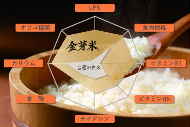 【 定期便 3回 】米 無洗米 金芽米 令和6年 宮城県産 ひとめぼれ 計 12kg ( 4kg × 3ヶ月 )   [ 宮城県 加美町 ]  お米 こめ コメ 精米 白米 玄米 きんめまい おすすめ