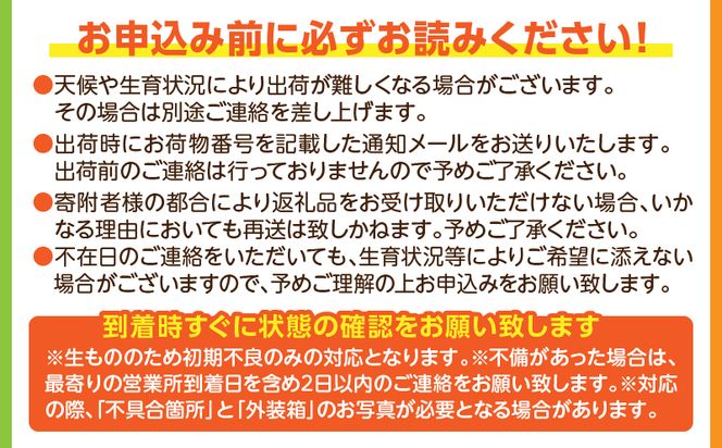 【先行予約】宮崎県産日向夏　2.5kg　化粧箱入り_M320-002