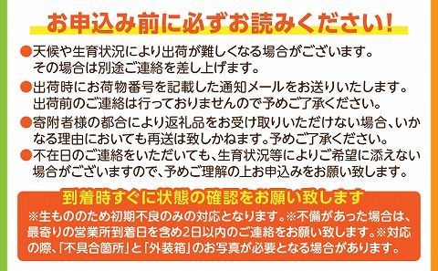 《2025年発送先行予約》【期間・数量限定】完熟金柑たまたまエクセレント 約1kg_M184-015