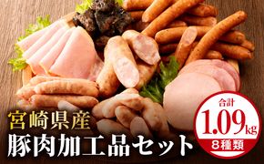 宮崎県産豚肉加工品セット（合計1.09kg 8種類）_M009-009