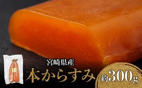 宮崎県産本からすみ 約300g_M017-022_01