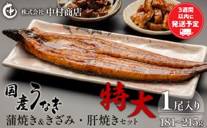 国産うなぎ 蒲焼き 特大サイズ(181～215g)・きざみ・肝焼きセット_M069-014_01