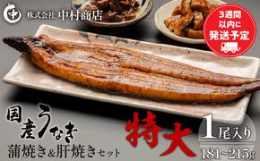 国産うなぎ 蒲焼き 特大サイズ(181～215g)・肝焼きセット_M069-015_01