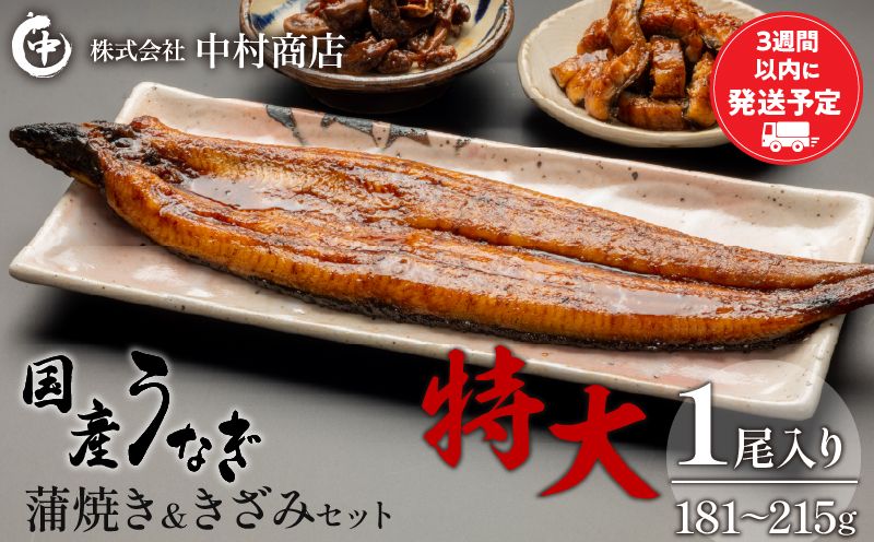 国産うなぎ蒲焼き特大サイズ(181〜215g)・蒲焼きざみセット_M069-017_01