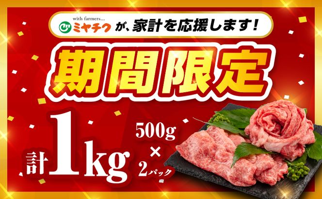 【期間限定】宮崎牛モモスライス500g×2 合計1kg_M132-011_02-UP