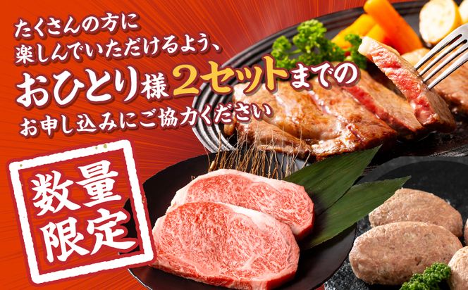 【期間・数量限定】宮崎牛ロースステーキ250g×2 合挽きハンバーグ100g×2個 合計700g_M132-014-B