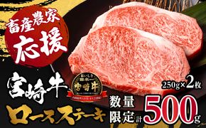 【数量限定】宮崎牛ロースステーキ250g×2 合計500g_M132-014