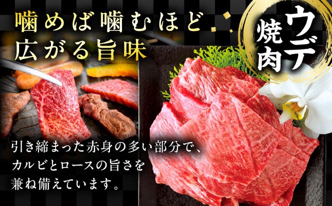 【期間限定】宮崎牛ウデ焼肉500g 宮崎県産黒毛和牛小間切れ100g 合計600g_M132-022-UP