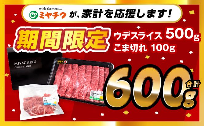 【期間限定】宮崎牛ウデスライス500g 宮崎県産黒毛和牛小間切れ100g 合計600g_M132-023-01-UP