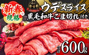 【期間限定】宮崎牛ウデスライス500g 宮崎県産黒毛和牛小間切れ100g 合計600g_M132-023-01-UP