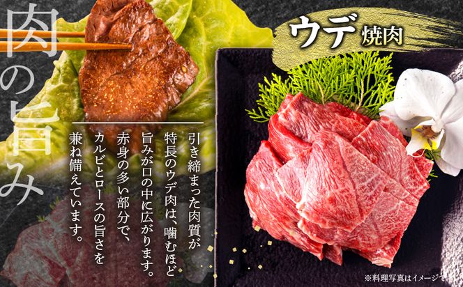 宮崎牛肩ロース焼きしゃぶ300g 宮崎牛ウデ焼肉400g_M132-031