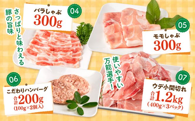 宮崎県産豚 バラエティセット 7種 合計3.1kg_M132-038
