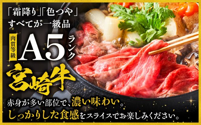 【期間限定】宮崎牛 A5ランク ウデスライス500g×2_M132-042-UP