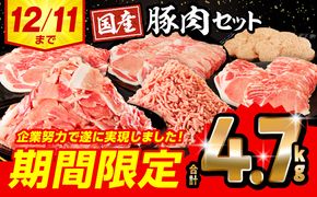 【2025年3月発送予定】【期間限定】ロースたっぷり大満足豚肉バラエティセット4.7kg_M132-064-UP-mar