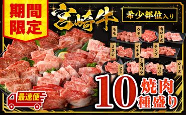 宮崎牛焼肉10種盛り合わせ_M132-067