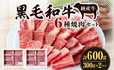 黒毛和牛（経産牛）6種焼肉セット300g × 2（計600g）_M132-078