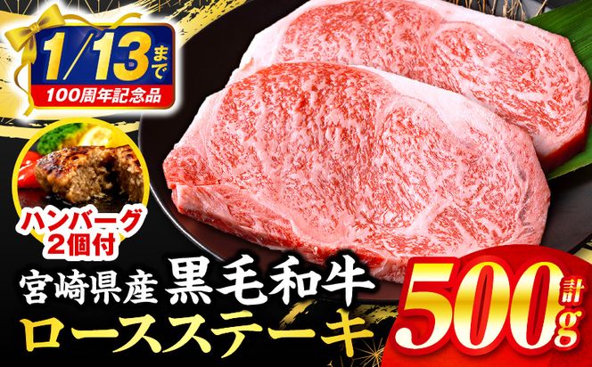 【市制100周年特別規格・期間限定】宮崎県産黒毛和牛ロースステーキ250g×2 合挽きハンバーグ100g×2個 合計700g_M132-091-B