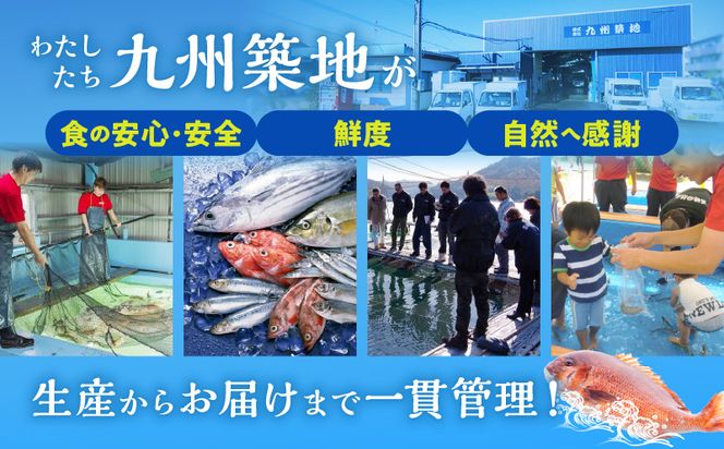 宮崎 -森のチョウザメ-sustainable PET FOOD _M133-006
