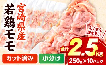 宮崎県産若鶏 モモ切り身 小分けパック 合計2.5kg（250g×10パック）_M144-004