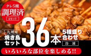 九州産焼き鳥36本(5種)セット盛り合わせ_M146-007_01