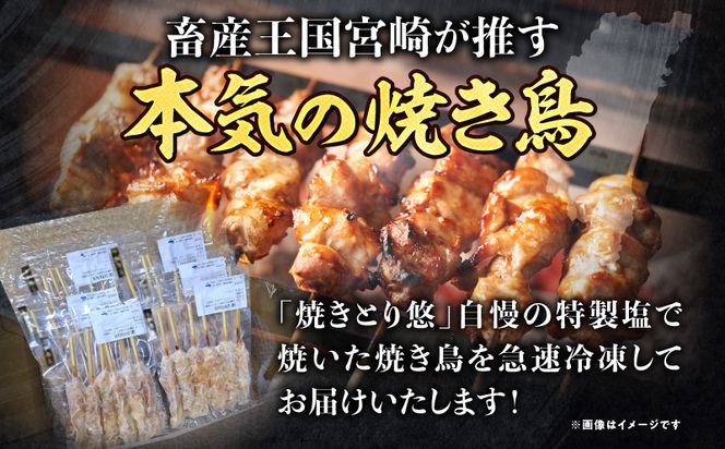 【調理済み】宮崎県産焼き鳥（特製塩）セット4種（36本）盛り合わせ（冷凍）_M146-014